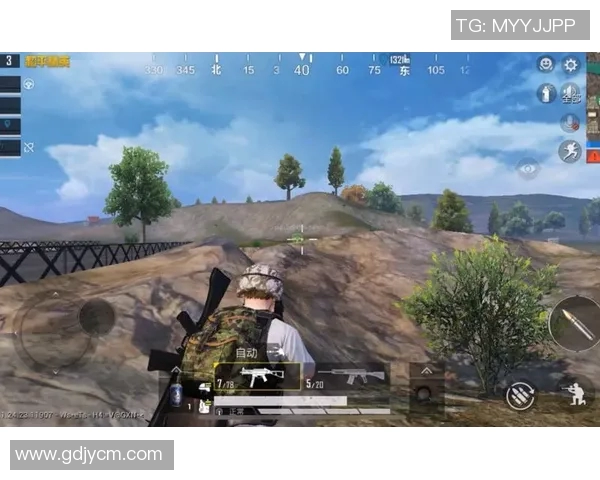 和平精英战术解析：深入探讨WE战队的游戏节奏与策略运用